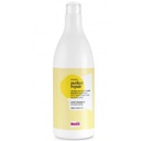 Champu Perfect Repair 1000 Ml