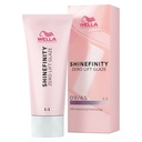 Tinte Shinefinity 60 Ml